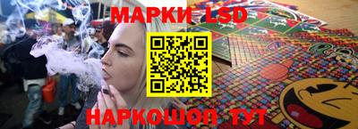 спиды Кингисепп