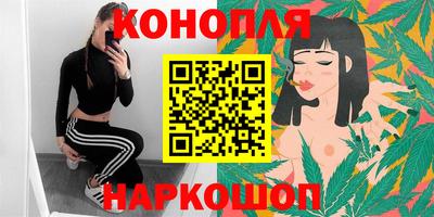 спиды Кингисепп
