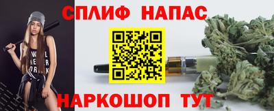 спиды Кингисепп
