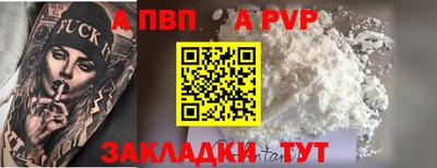 спиды Кингисепп