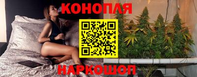 спиды Кингисепп