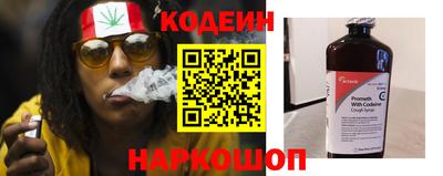 спиды Кингисепп