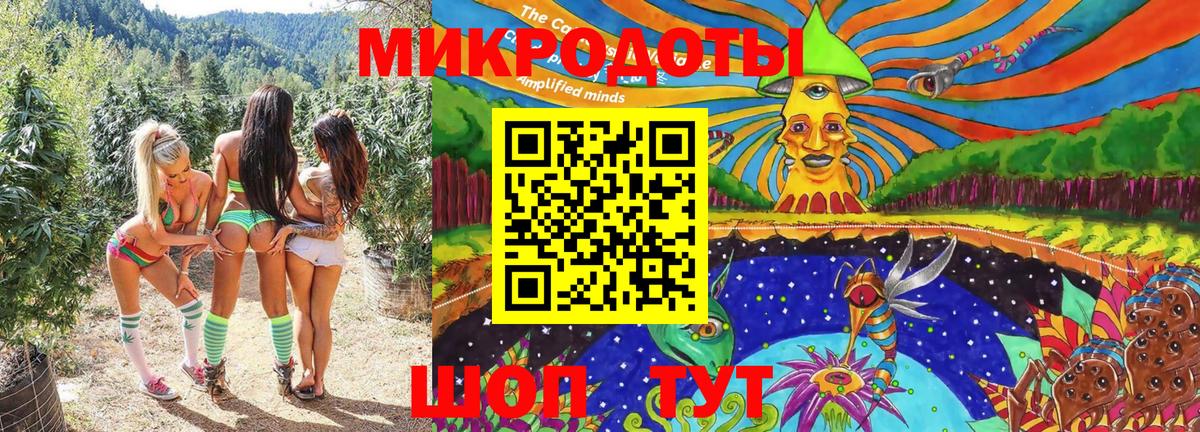 Котельники  Псилоцибиновые грибы Psilocybine cubensis  Вход с VPN  Псилоцибиновые грибы мухоморы 